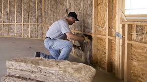 Best Insulation Air Sealing in Belleair Beach, FL