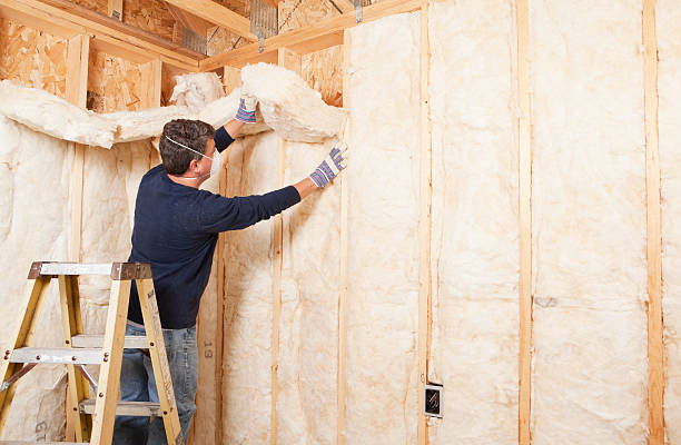 Best Eco-Friendly or Green Insulation Solutions in Belleair Beach, FL